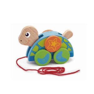 50080 PULL ALONG TURTLE