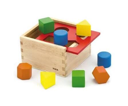 50844 SHAPE SORTING