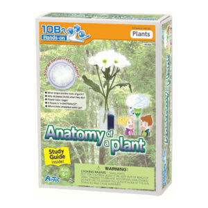 196420 ANATOMY OF A PLANT