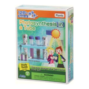 196422 PHOTOSYNTHESIS IN A TUBE