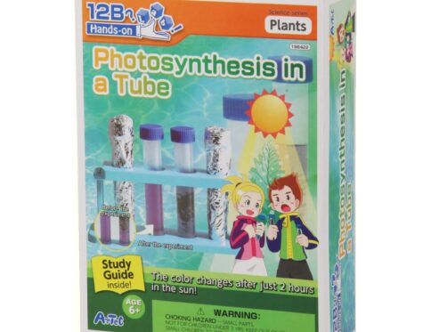 196422 PHOTOSYNTHESIS IN A TUBE