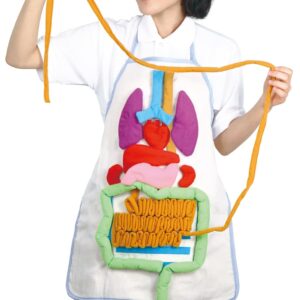 198105 ANATOMY APRON